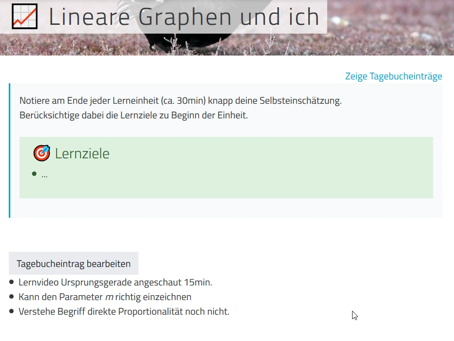 Screenshot mebis Lerntagebuch Tagebuch