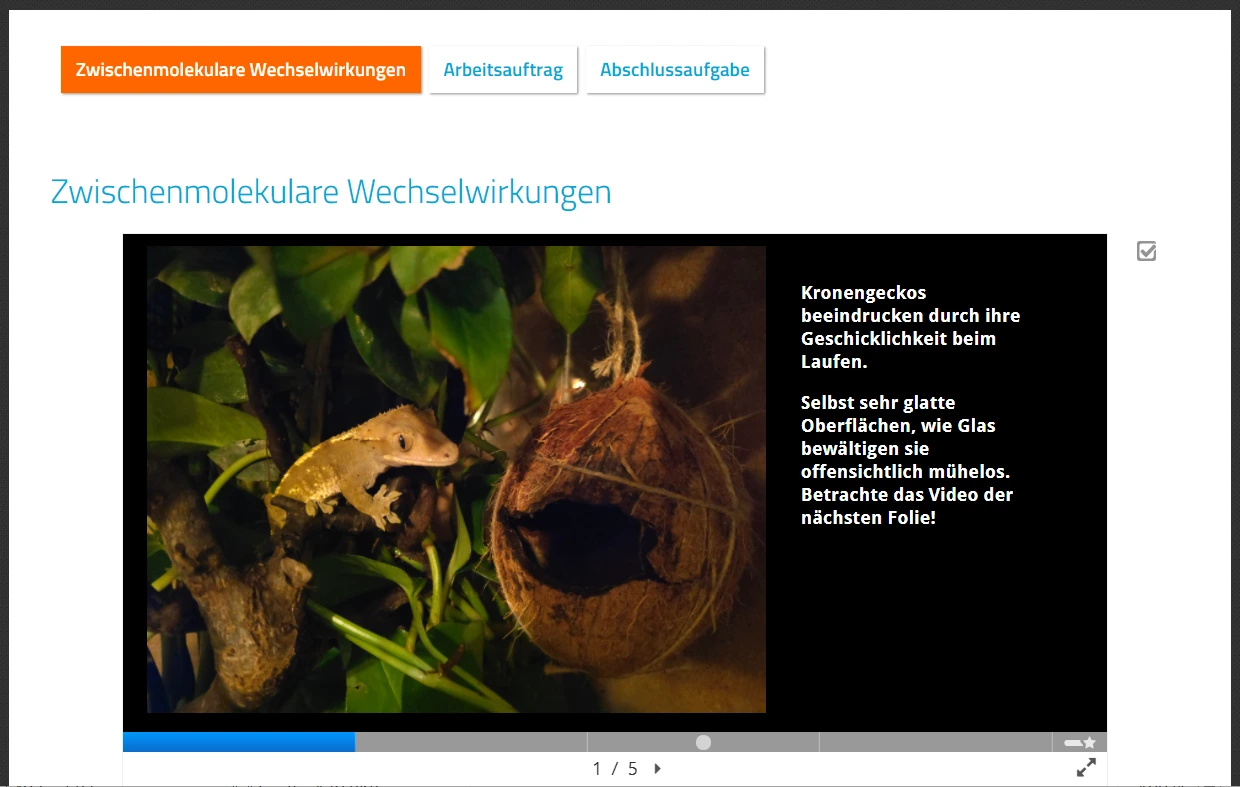 Screenshot Kurs