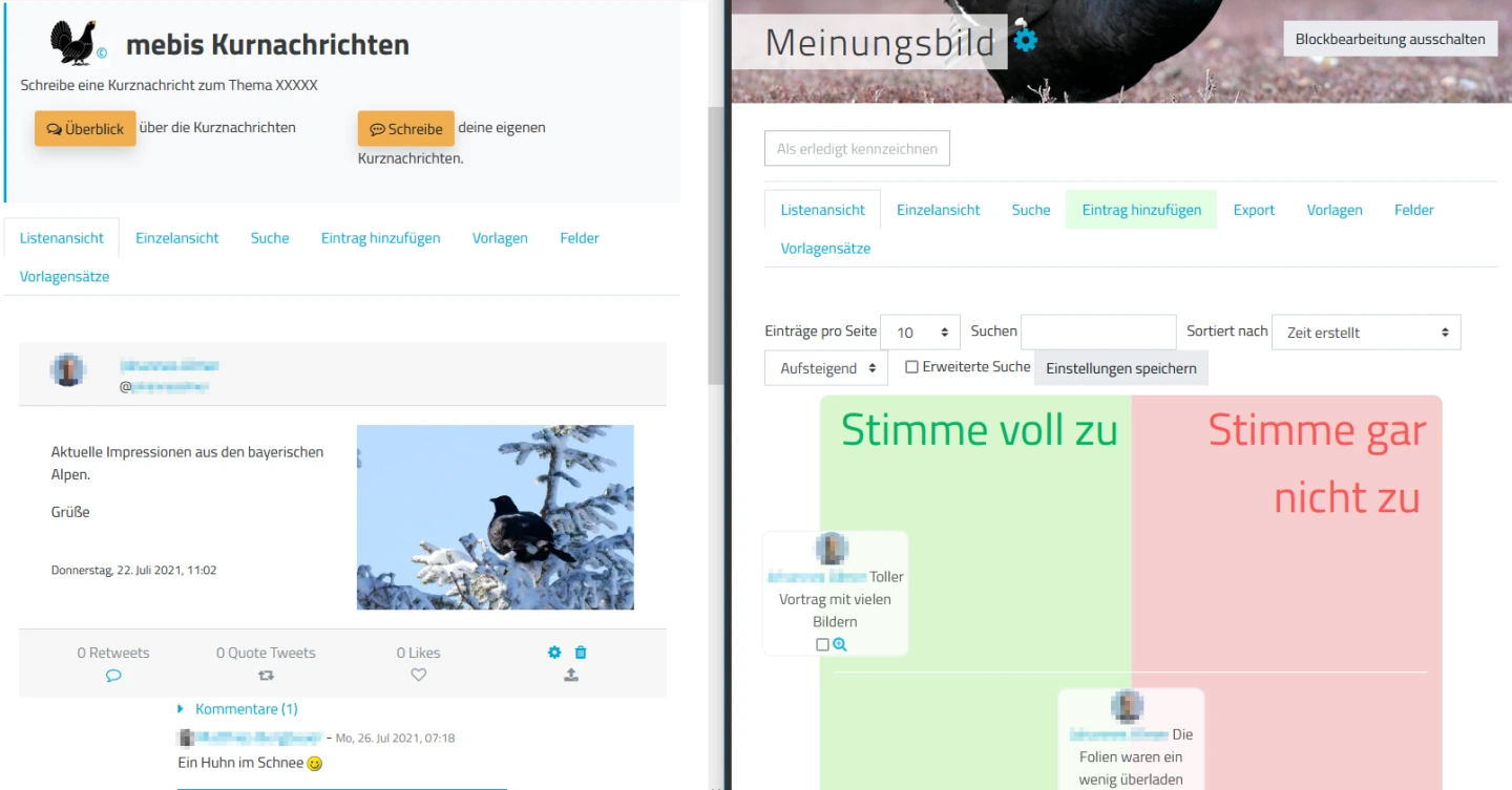 Kreative Möglichkeiten mit der Datenbank