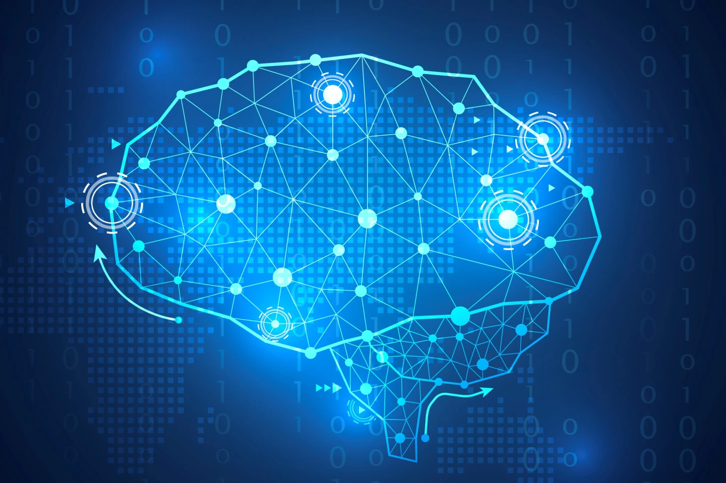 Künstliche neuronale Netze: Maschinelles Lernen – vom Gehirn inspiriert 
