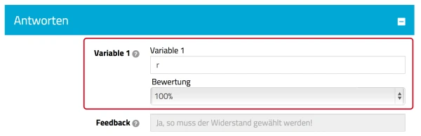 Screenshot Übergabe der Wahrheitswerte, einfaches Feedback, Variable 1 und Bewertung sind rot umrandet